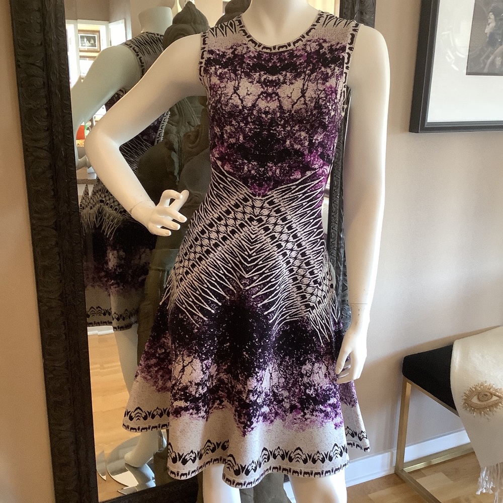 Herve Leger dress